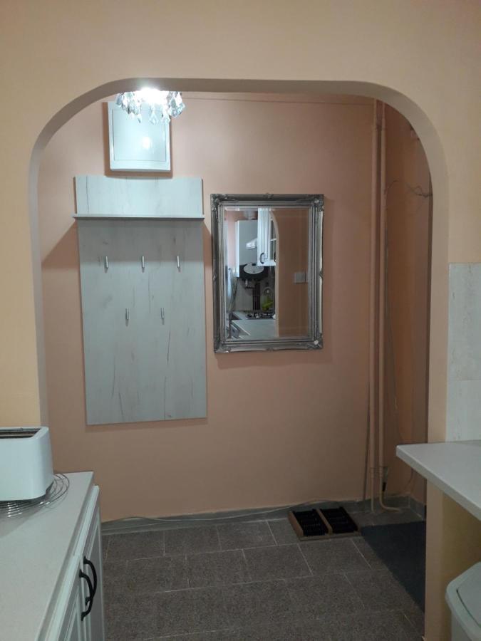 Cozy, Central 1-Bedroom Apartment In Timisoara, Romania Exteriör bild