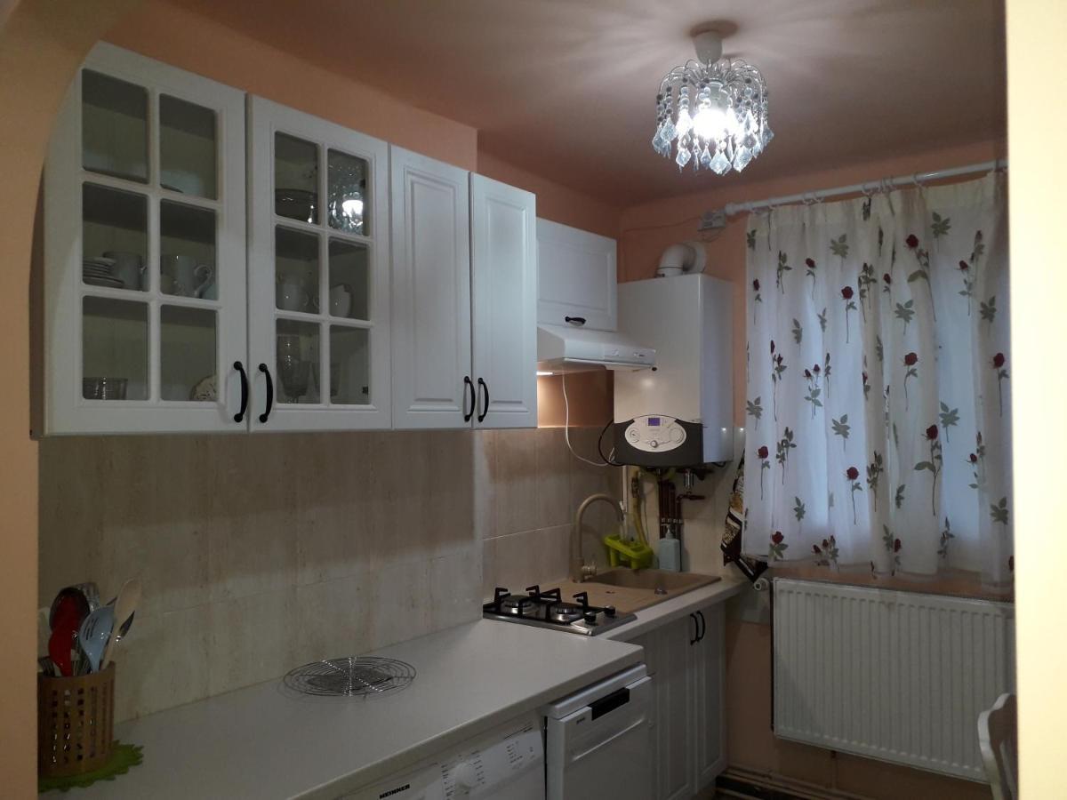 Cozy, Central 1-Bedroom Apartment In Timisoara, Romania Exteriör bild