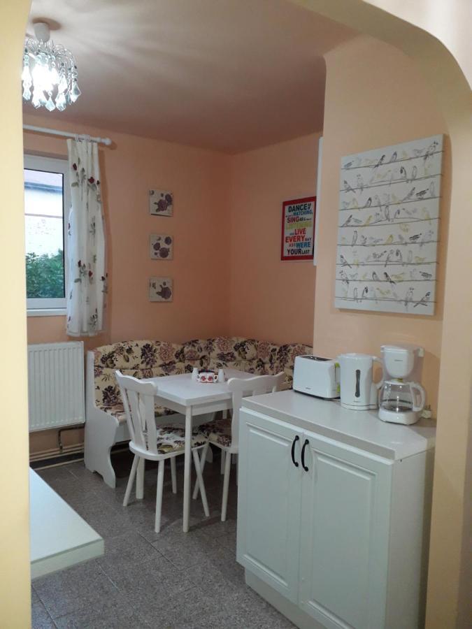 Cozy, Central 1-Bedroom Apartment In Timisoara, Romania Exteriör bild