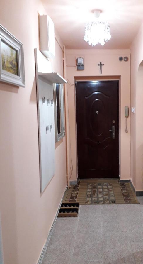 Cozy, Central 1-Bedroom Apartment In Timisoara, Romania Exteriör bild