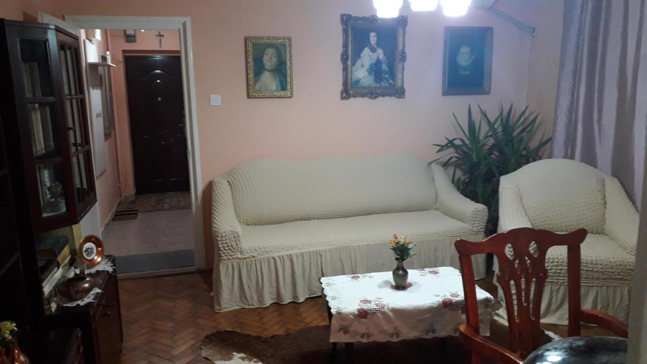 Cozy, Central 1-Bedroom Apartment In Timisoara, Romania Exteriör bild